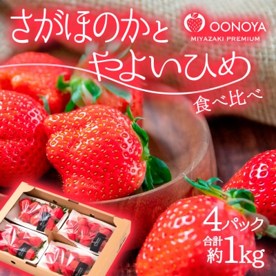 やよいひめ×さがほのか いちご食べ比べ2種4パック 苺大野屋【今季限定】[2900]
