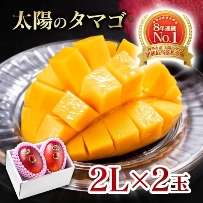 【令和9年6月発送】西都市産完熟マンゴー 太陽のタマゴ2L×2玉【先行受付】[3333]