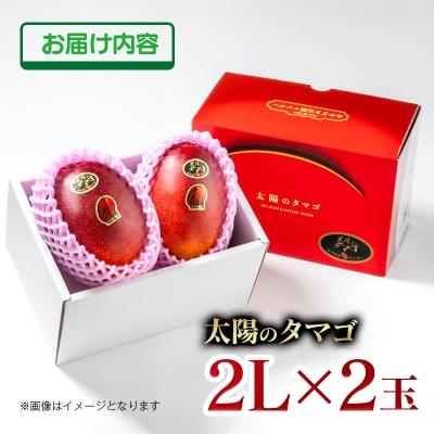【令和9年6月発送】西都市産完熟マンゴー 太陽のタマゴ2L×2玉【先行受付】[3333]