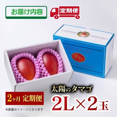 【令和8年2ヶ月定期便】西都市産完熟マンゴー 太陽のタマゴ2L×2玉【先行受付】[2911]