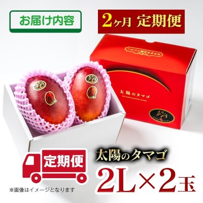【令和9年2ヶ月定期便】西都市産完熟マンゴー 太陽のタマゴ2L×2玉【先行受付】[3336]