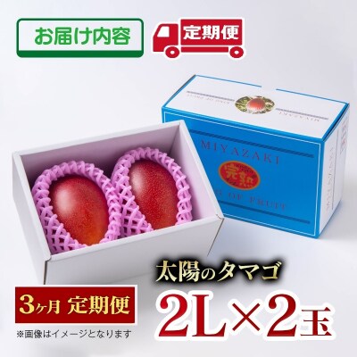 【令和8年3ヶ月定期便】西都市産完熟マンゴー 太陽のタマゴ2L×2玉【先行受付】[2912]