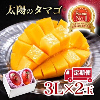 【令和9年2ヶ月定期便】西都市産完熟マンゴー 太陽のタマゴ3L×2玉【先行受付】[3337]