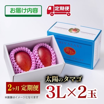 【令和8年2ヶ月定期便】西都市産完熟マンゴー 太陽のタマゴ3L×2玉【先行受付】[2913]