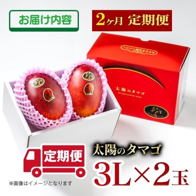 【令和9年2ヶ月定期便】西都市産完熟マンゴー 太陽のタマゴ3L×2玉【先行受付】[3337]
