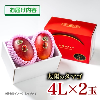 【令和9年5月発送】西都市産完熟マンゴー 太陽のタマゴ4L×2玉【先行受付】[3335]