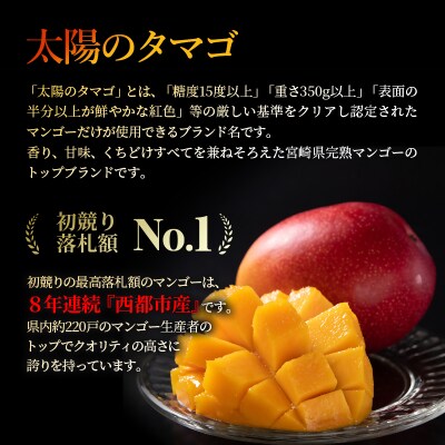 【令和9年6月発送】西都市産完熟マンゴー 太陽のタマゴ4L×2玉【先行受付】[3335]