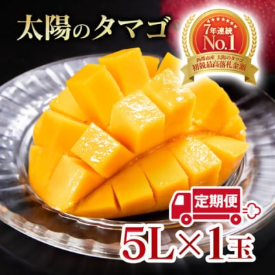 【令和8年2ヶ月定期便】西都市産完熟マンゴー 太陽のタマゴ5L×1玉【先行受付】[2915]