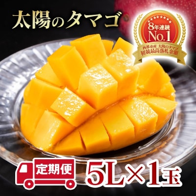 【令和9年2ヶ月定期便】西都市産完熟マンゴー 太陽のタマゴ5L×1玉【先行受付】[3339]