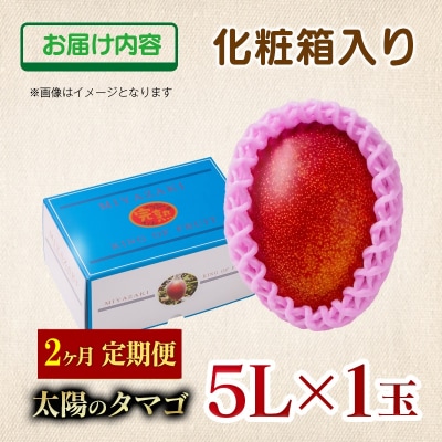 【令和8年2ヶ月定期便】西都市産完熟マンゴー 太陽のタマゴ5L×1玉【先行受付】[2915]