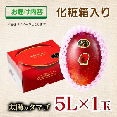 【令和9年2ヶ月定期便】西都市産完熟マンゴー 太陽のタマゴ5L×1玉【先行受付】[3339]