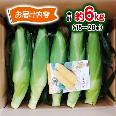 【さいとう農園】朝採れ! スイートコーン『ゴールドラッシュ』約6kg【先行受付】[2928]