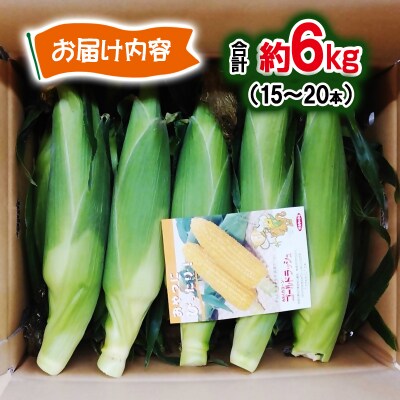 【さいとう農園】朝採れ! スイートコーン『ゴールドラッシュ』約6kg【先行受付】[2928]