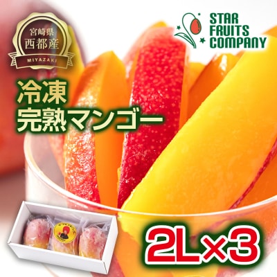 宮崎県西都市産まるごと冷凍完熟マンゴー2L×3玉合計約1kg(冷凍マンゴー)[3000]