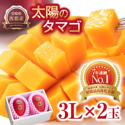 宮崎県西都市産完熟マンゴー『太陽のタマゴ』3L×2玉 d[3042] | 宮崎