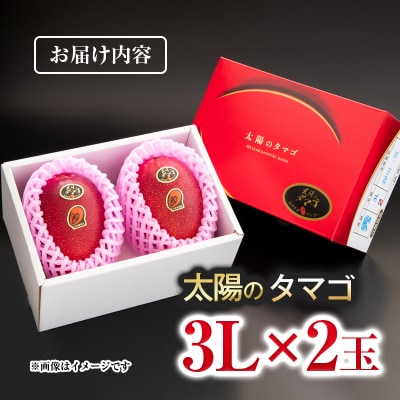 宮崎県西都市産完熟マンゴー『太陽のタマゴ』3L×2玉　d[3042]