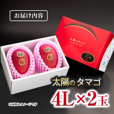 宮崎県西都市産完熟マンゴー『太陽のタマゴ』4L×2玉　d[3043]