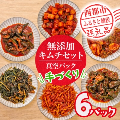 季節のお野菜でつくる!手作りキムチ 6種類 キムチ食べ比べ[2960]
