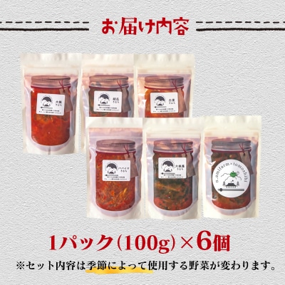 季節のお野菜でつくる!手作りキムチ 6種類 キムチ食べ比べ[2960]