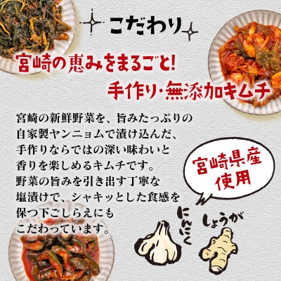 季節のお野菜でつくる!手作りキムチ 6種類 キムチ食べ比べ[2960]