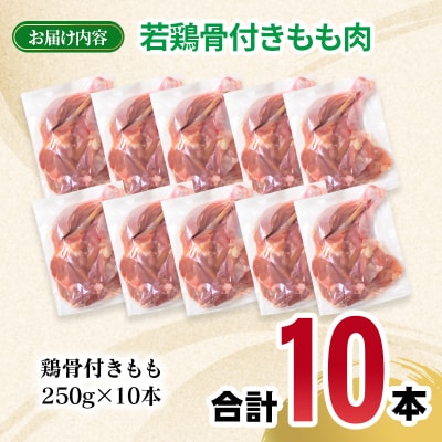 宮崎県産若鶏骨付きもも10本セット　約2.5kg[2971]