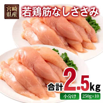 宮崎県産若鶏 筋なしささみ 2.5kg 小分け250g×10パック [2973]