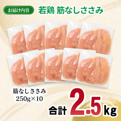 宮崎県産若鶏 筋なしささみ 2.5kg 小分け250g×10パック [2973]