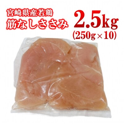 宮崎県産若鶏 筋なしささみ 2.5kg 小分け250g×10パック [2973]