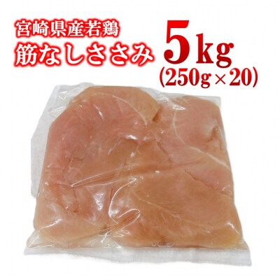 宮崎県産若鶏 筋なしささみ 5kg 小分け250g×20パック [2984]