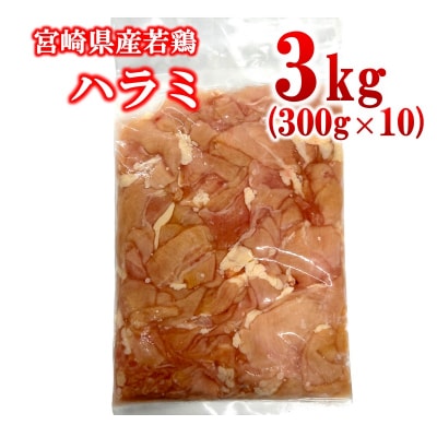 宮崎県産若鶏ハラミ 3kg 小分け300g×10パック [2978]