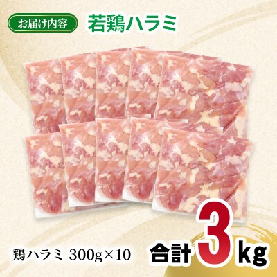 宮崎県産若鶏ハラミ 3kg 小分け300g×10パック [2978]