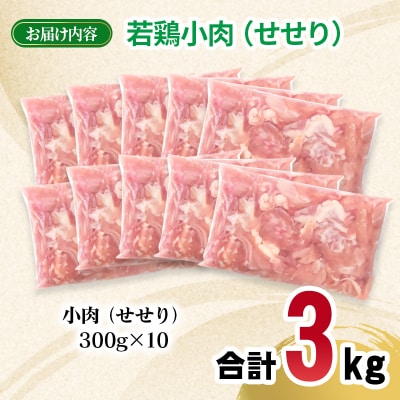 宮崎県産若鶏小肉(セセリ)3kg 小分け300g×10パック せせり[2982]