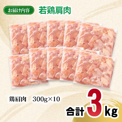 宮崎県産若鶏 肩肉3kg 小分け300g×10パック[2972]