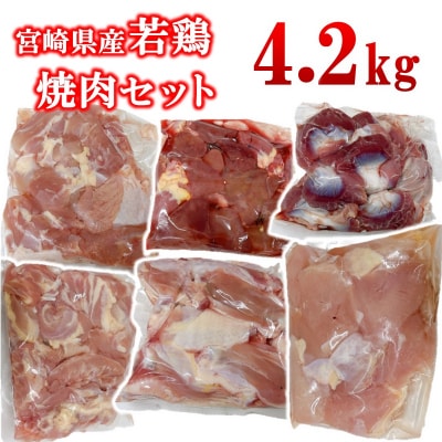 宮崎県産若鶏6種15パック合計4.2kgセット　鶏肉小分け[2979]