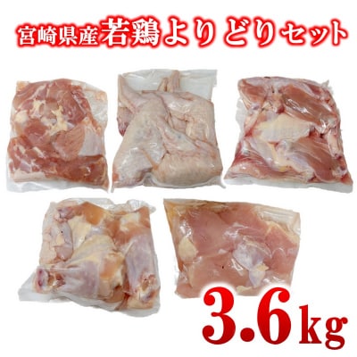 宮崎県産若鶏5種12パック合計3.6kgセット　鶏肉小分け[2977]