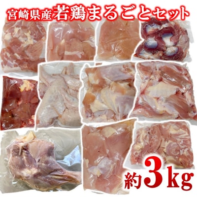 宮崎県産若鶏11種11パック合計3kgセット　鶏肉小分け[2976]
