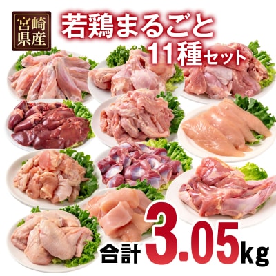 宮崎県産若鶏11種11パック合計3kgセット　鶏肉小分け[2976]