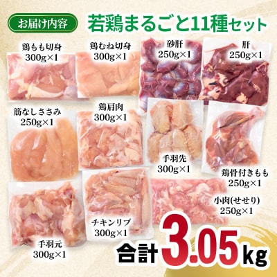 宮崎県産若鶏11種11パック合計3kgセット　鶏肉小分け[2976]