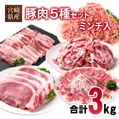 宮崎県産豚肉5種11パック合計3kgセット　ローススライス/豚バラ/切り落とし小分け[2990]