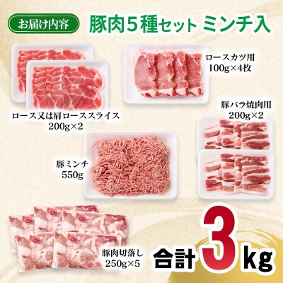 宮崎県産豚肉5種11パック合計3kgセット　ローススライス/豚バラ/切り落とし小分け[2990]
