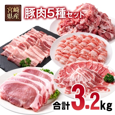 宮崎県産豚肉5種13パック合計3.2kgセット　ローススライス/豚バラ/切り落とし小分け[2991]