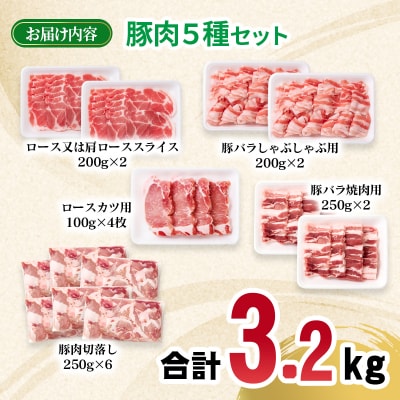 宮崎県産豚肉5種13パック合計3.2kgセット　ローススライス/豚バラ/切り落とし小分け[2991]