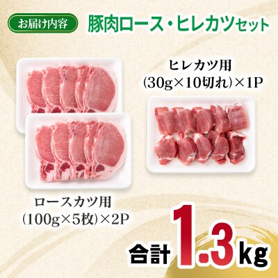 宮崎県産豚肉 ロース・ヒレカツセット 合計20枚(合計1.3㎏)[2987]