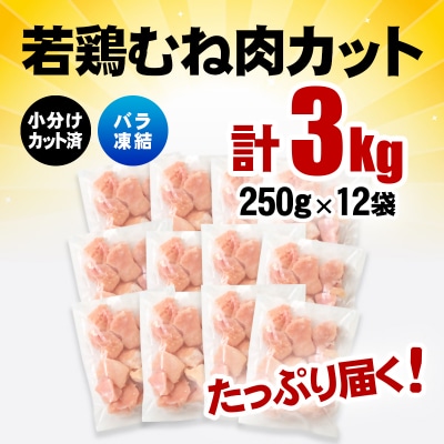バラ凍結 宮崎県産若鶏むね肉　合計3kg(250g×12袋)鶏肉切身小分け[3058]
