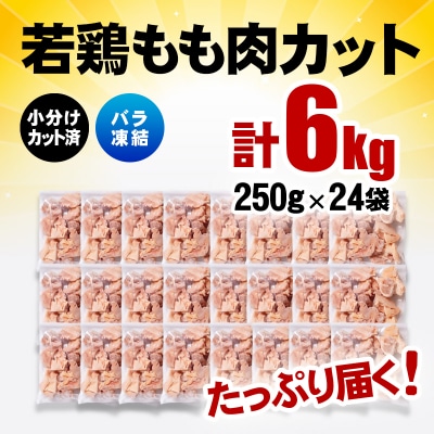 バラ凍結 宮崎県産若鶏もも肉　合計6kg(250g×24袋)鶏肉切身小分け[3056]