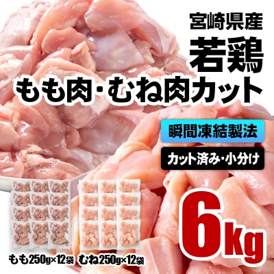 バラ凍結 宮崎県産若鶏もも肉&むね肉　合計6kg(250g×24袋)鶏肉切身小分け[3062]