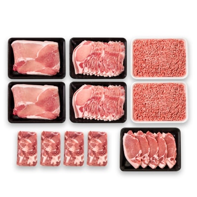 宮崎県産豚肉 満載Bセット4.5kg 小分け スライス とんかつ 小間切れ ミンチ[3097]