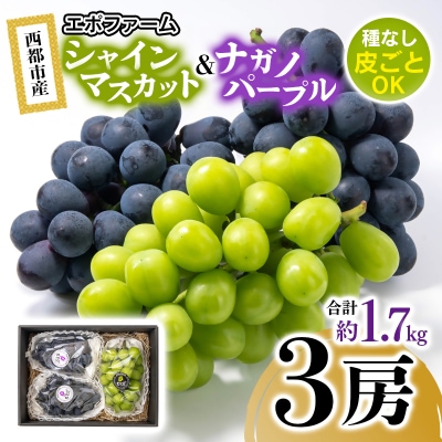 シャインマスカット・ナガノパープル食べ比べセット3房1.7kg 宮崎県西都市産ぶどう[2901]