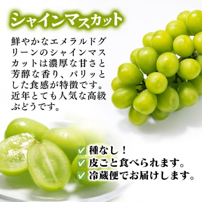 シャインマスカット・ナガノパープル食べ比べセット3房1.7kg 宮崎県西都市産ぶどう[2901]