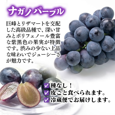 シャインマスカット・ナガノパープル食べ比べセット3房1.7kg 宮崎県西都市産ぶどう[2901]